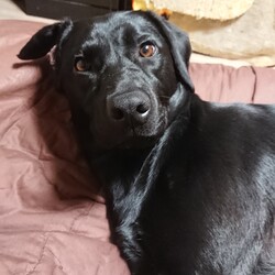 「力」サムネイル2