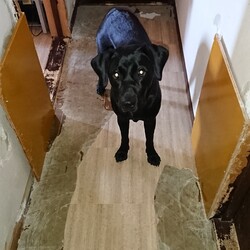 「力」サムネイル3