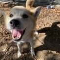 持病があっても元気いっぱい★さすけくん
