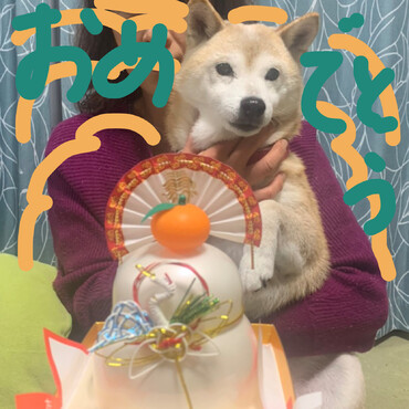 迎春✺✺今年もよろしくお願いします❣❣