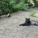 人が大好きでストーカーしちゃうです‼️