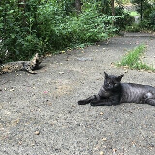 人が大好きでストーカーしちゃうです‼️