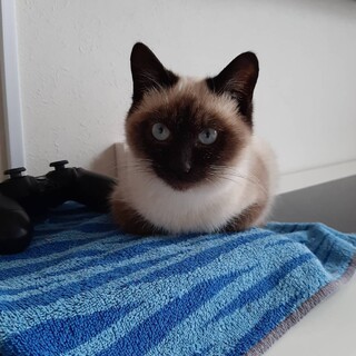 拓と申します！