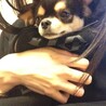 ミルッヒむぎ