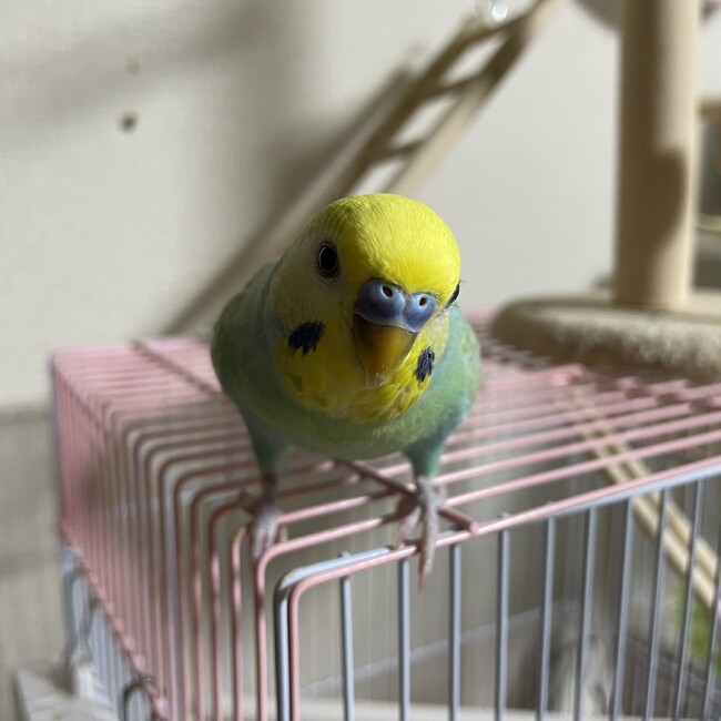 さと123のカバー写真