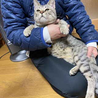 とても甘えん坊　優しい家族決定しました。ありがとう