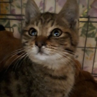 やっと保護できた優しい男の子