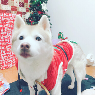 10年目のクリスマス