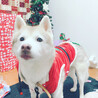 10年目のクリスマス