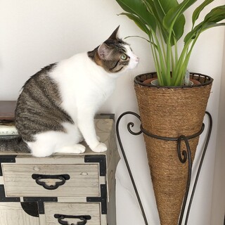 洗練されたぼくを見て♡