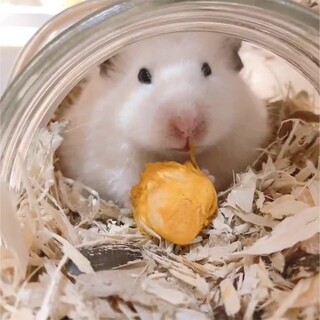 可愛いロングの女の子