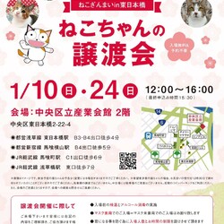 ねこざんまい譲渡会＠東日本橋