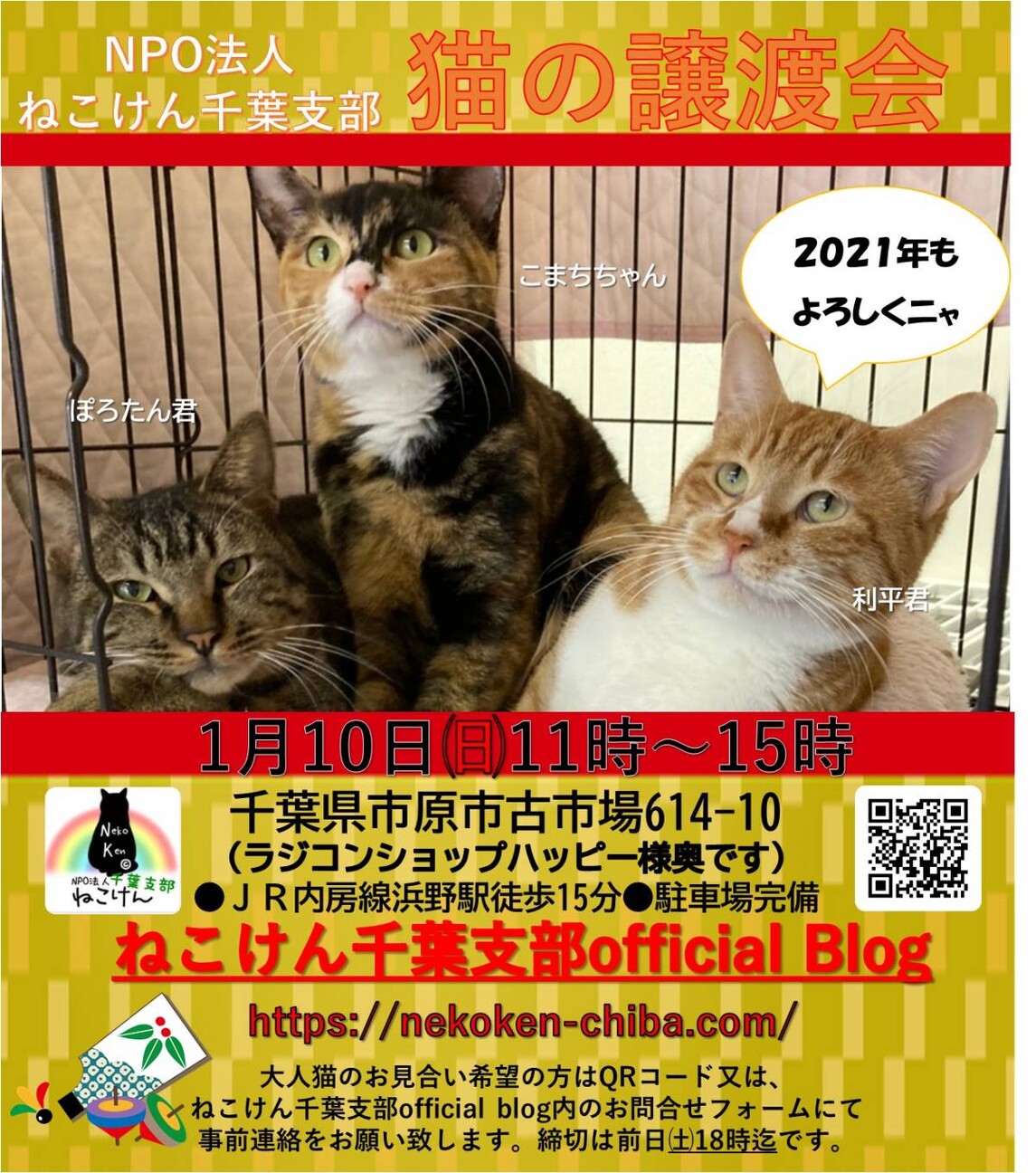 支部 千葉 ねこ けん