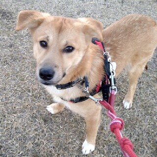 グングン成長中、素直で元気な子たー坊