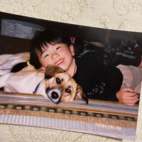 コロ
