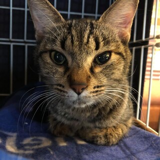 ずっとのおうちがみつかりました(^^)