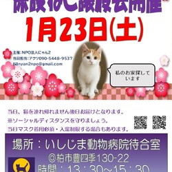 保護ねこ譲渡会@いしじま動物病院待合室