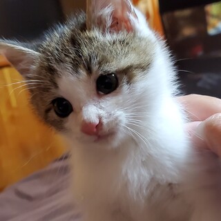 人懐っこくて可愛い男の子です！