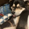 寝てる？
