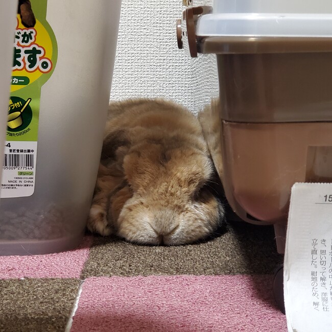 とトちゃんのカバー写真