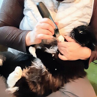 ありがとうございました