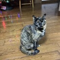 ありがとうございました
