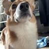 の写真
