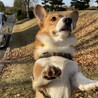 の写真