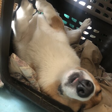 の写真