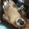 の写真