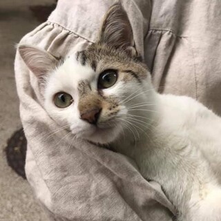 とても人懐っこい、イブ君！