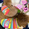 ちびっこちびこ