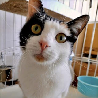 【1/16芝浦】まだ1歳の元ヤンママのここみちゃん