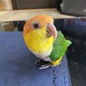 の写真