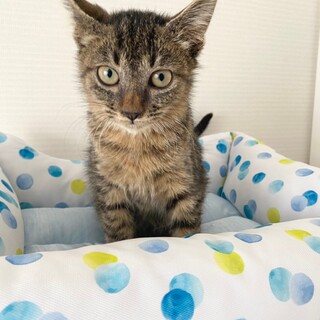 甘ったれ小僧♡の　寒太郎♂