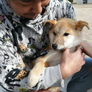 滋賀県Ｙ様宅にトライアル決まりました