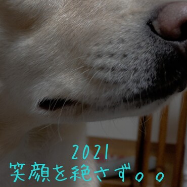 今年も変わらず、宜しくお願いしますm(_ _)m