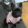 DOGDEPTの福袋①