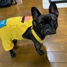 DOGDEPTの福袋②