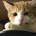 トライアル中♪顎を骨折していたアゴくん