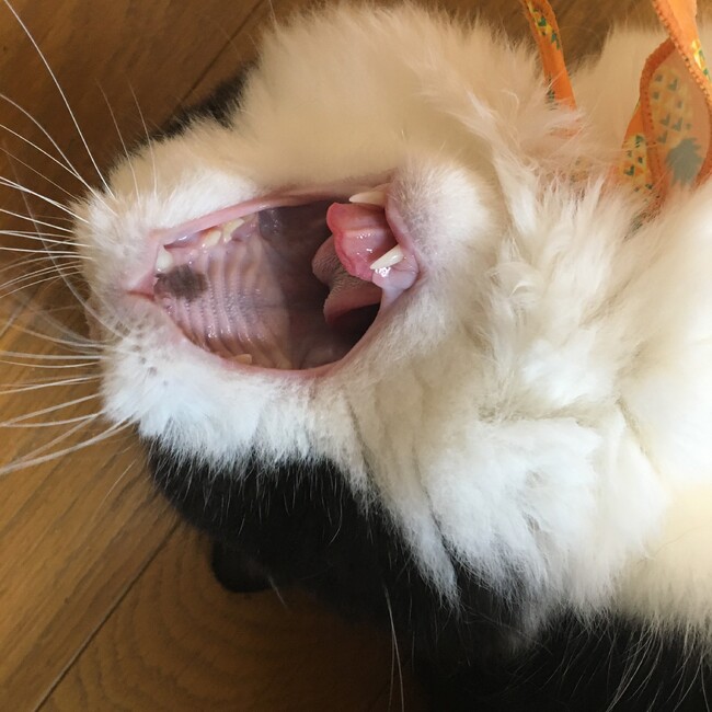 みるさんのカバー写真