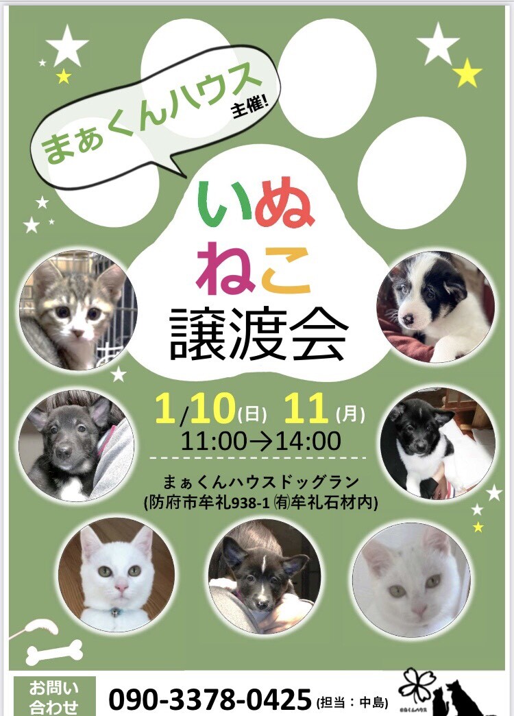8 22 防府市での譲渡会のお知らせ さくら猫やまぐちのブログ