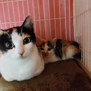 ありがとうございました