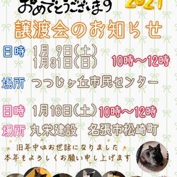 保護猫の譲渡会in名張