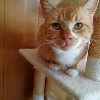 おっきくて優しくて甘えん坊の徳ちゃん4歳男の子！