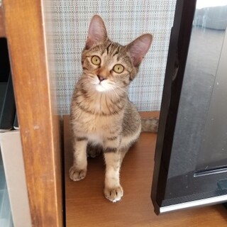 グイグイ甘えるお嬢様♪