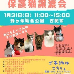 第１２回保護猫譲渡会in山口県
