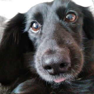 ぴたっと体を寄せる甘えん坊な女の子♪ふじまるちゃん