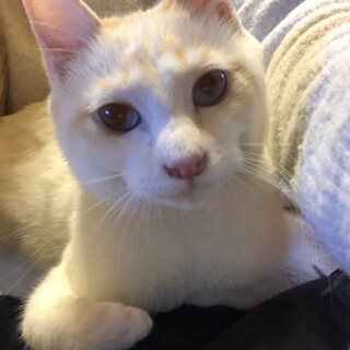 天真爛漫な男の子『太陽くん』