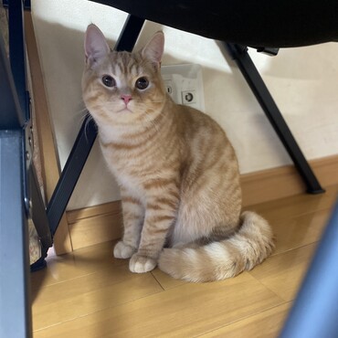 くりくり瞳がかわいい